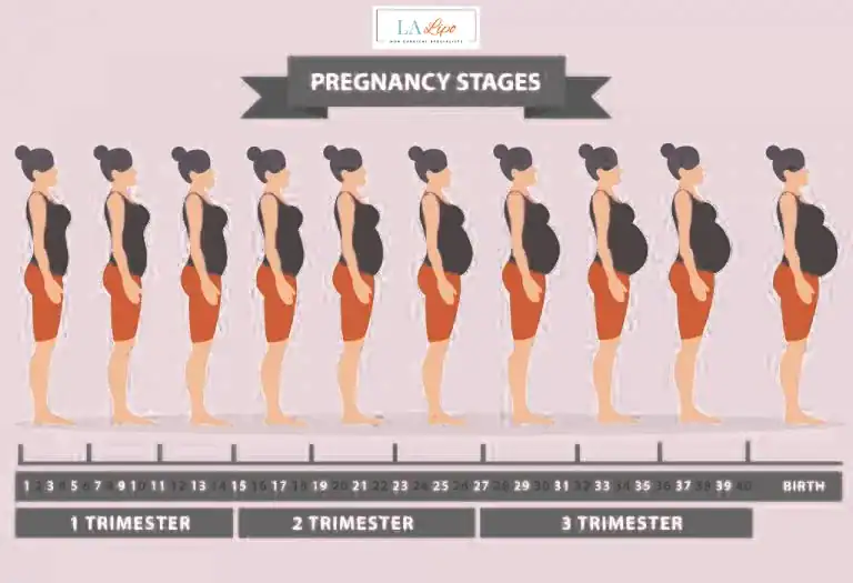 First Trimester (Weeks 1–12): Early Changes You Might Not Notice Hampton Wick
